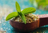 8 benefits of having tulsi every morning