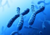 Y chromosome disappearing slowly: Is the world moving towards a male-less future?