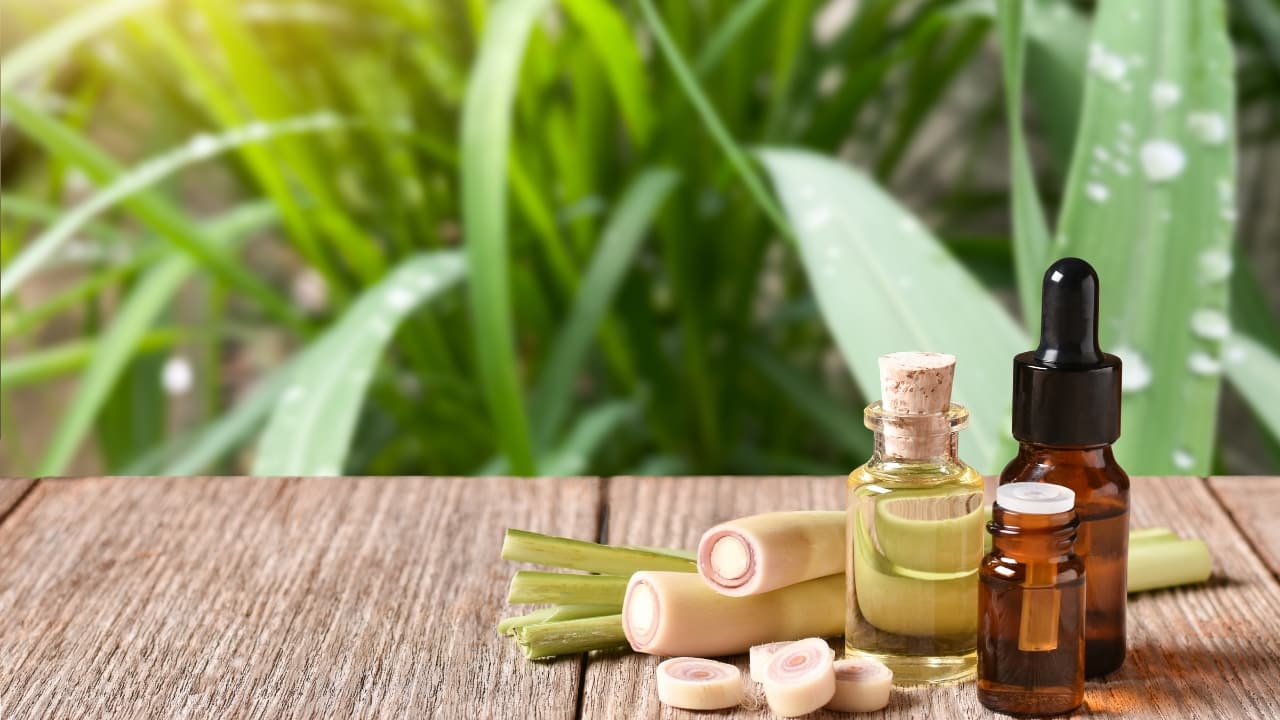 Benefits of lemongrass oil for hair: Reduces dandruff, promotes hair growth, adds shine