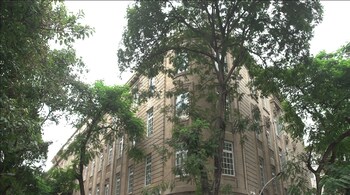 Tata group companies share price rise.