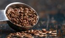 Improve heart health, lower cholesterol with flaxseeds, here's how to include them in daily diet