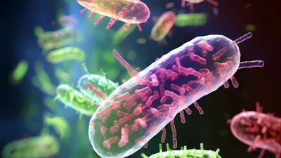 Scientists find new bacteria that survive by breathing electricity, not oxygen