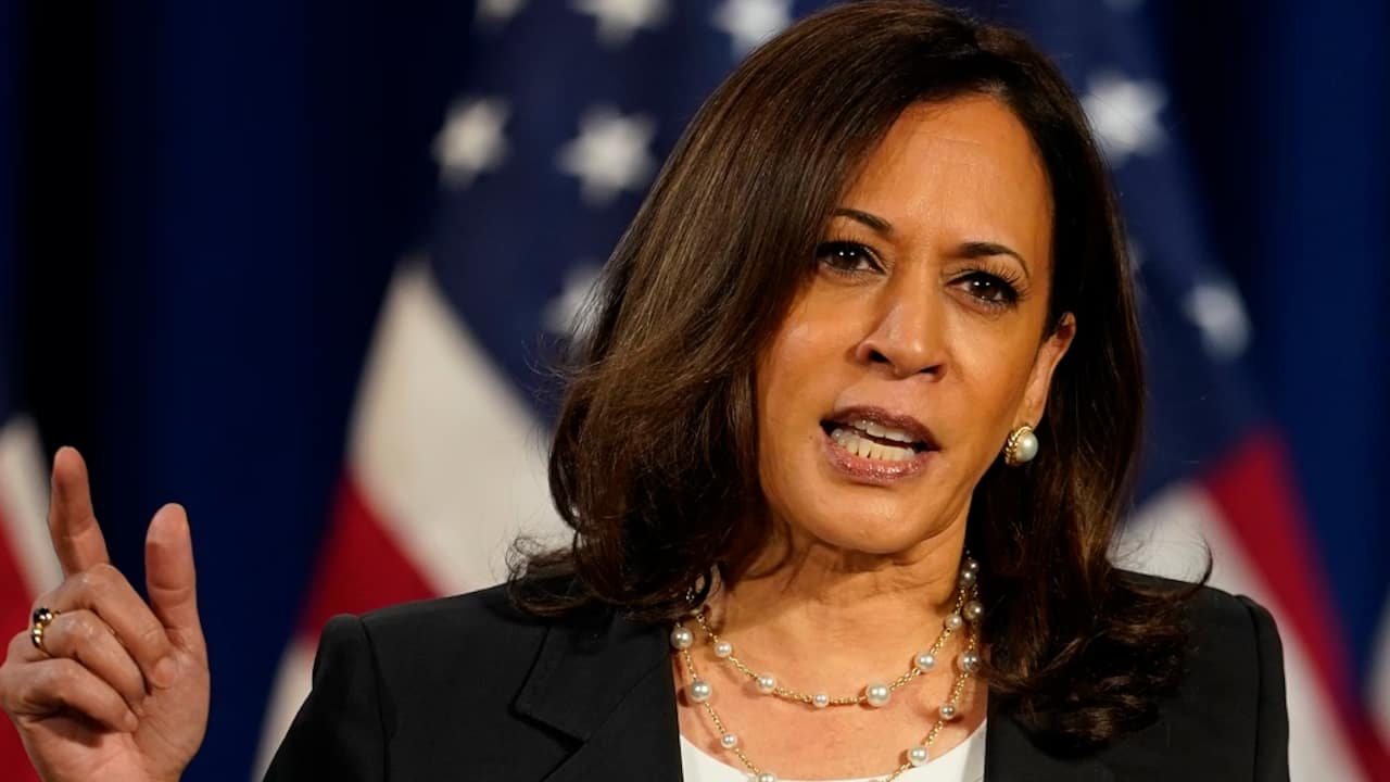 US Election Results prediction Allan Lichtman predicts Kamala Harris