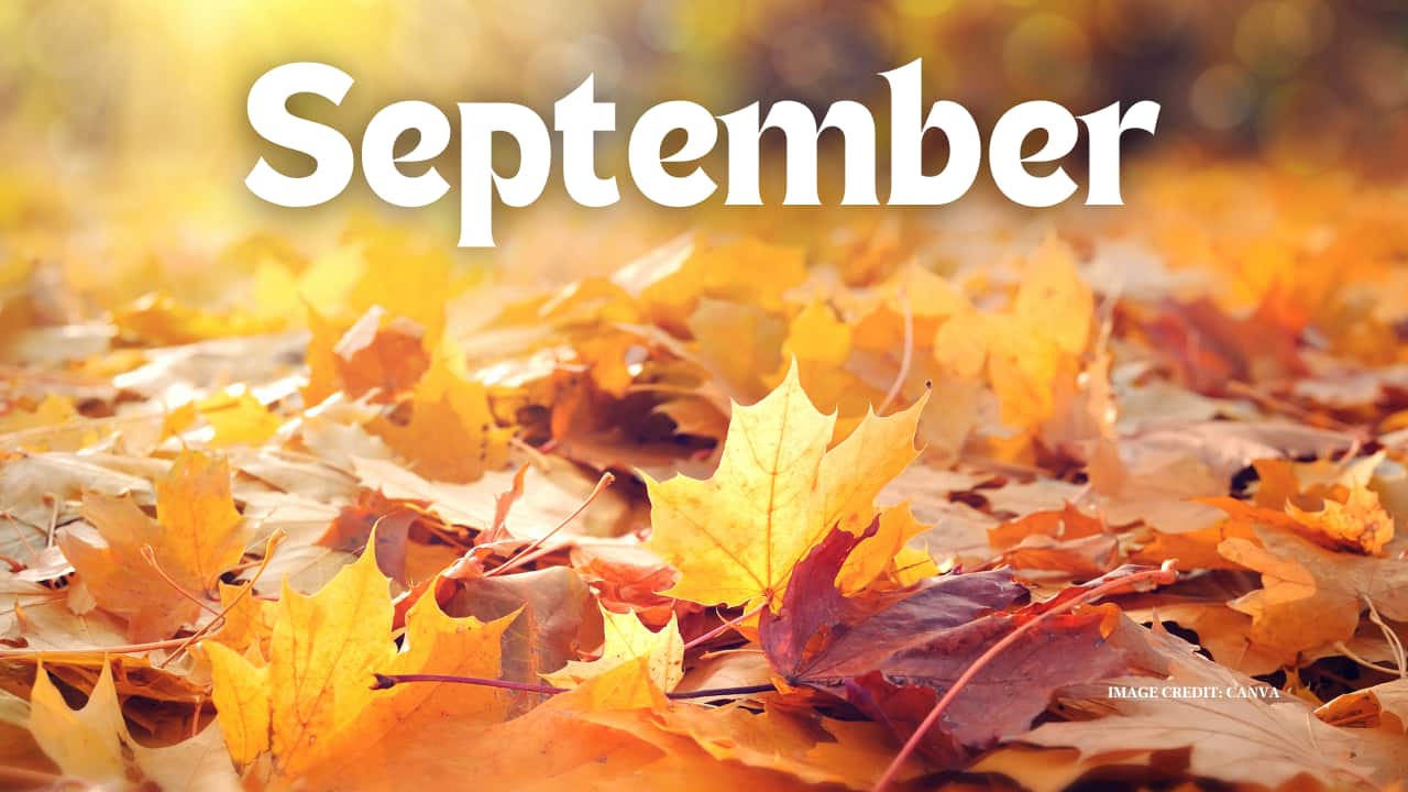 Important Days in September 2024: List of National and International Important Days, Events