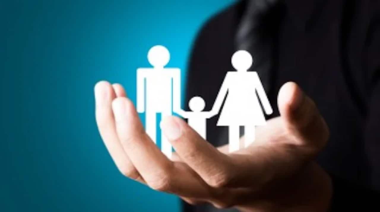 7 Midcap stocks that the government run pension schemes love to hold