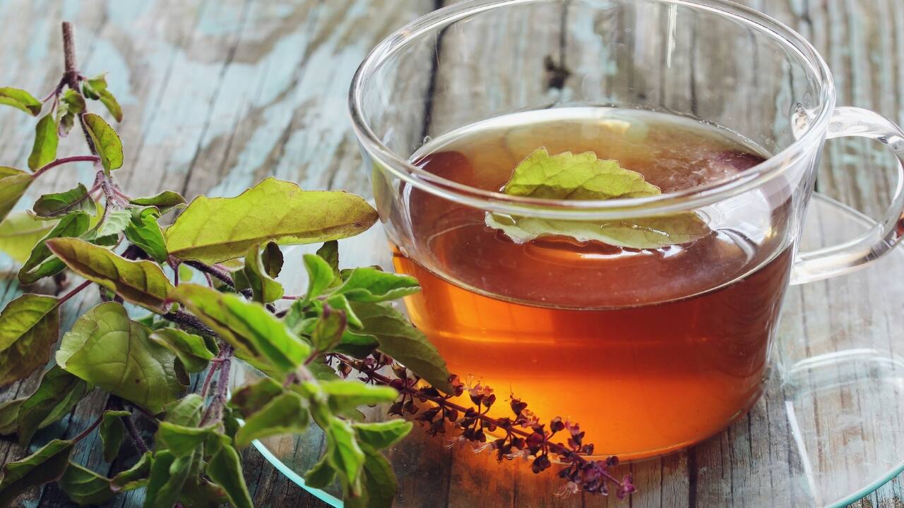 Tulsi (holy basil) and mint tea Boil water and add a handful of tulsi and mint leaves. Let it steep for 5-7 minutes. Strain and add honey for sweetness. Tulsi is known for its antiviral, antibacterial, and adaptogenic properties, while mint aids digestion. (Image: Canva)