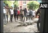 Crocodiles spotted in parks and roofs in flood-hit Vadodara as river swells. Videos