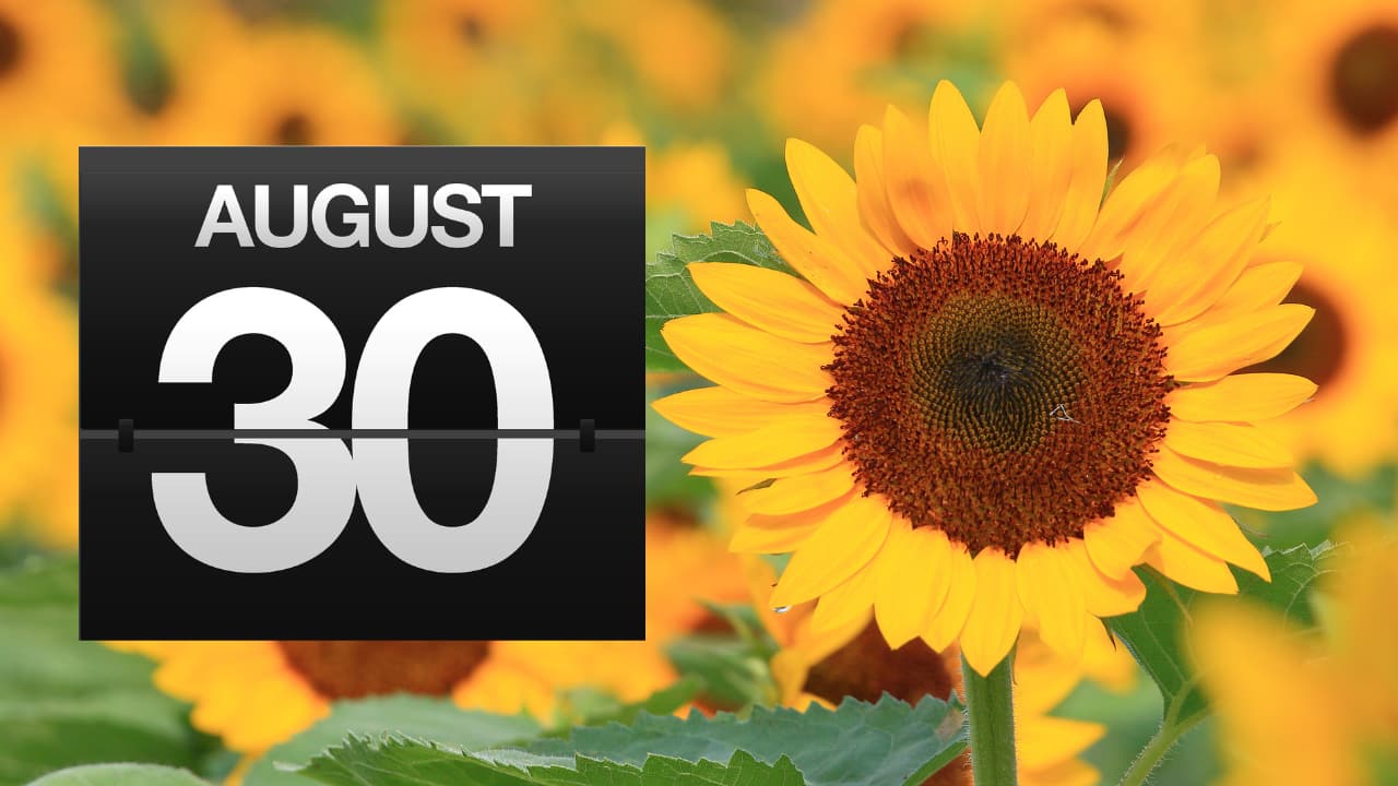 August 30 Birthday: Discover key personality traits, love life, career and more