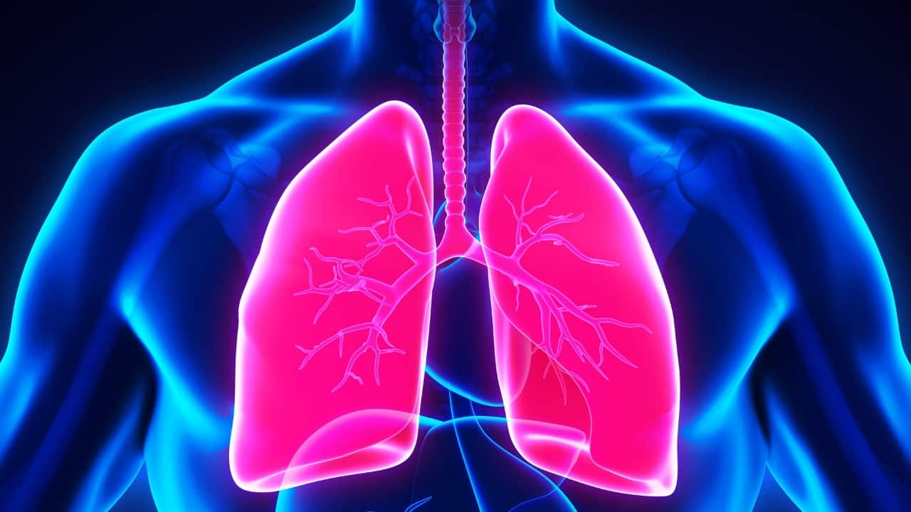 Moreover, healthy lungs are vital for efficient oxygen exchange, which is crucial for energy production and overall bodily functions. Detoxification also strengthens the lungs’ ability to filter out pathogens and harmful particles, boosting the immune system and enhancing resistance to infections. By regularly detoxifying the lungs, you improve respiratory efficiency, reduce inflammation, and support long-term health and vitality, making it a critical aspect of overall well-being. Certain foods can help detoxify your lungs naturally by reducing inflammation, promoting mucus clearance, and supporting overall respiratory health. Here are eight foods that are beneficial, according to Felix Hospital Pulmonologist Harshad Ram. (Image: Canva)