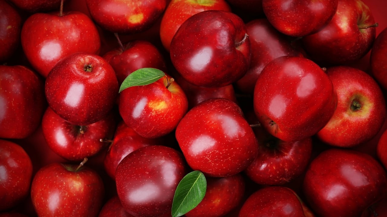 Apples: Apples are packed with flavonoids, vitamin C, and other antioxidants that support lung health by reducing inflammation and oxidative stress. Regular consumption of apples has been linked to improved lung function and a lower risk of chronic respiratory diseases like asthma and bronchitis. Apples also help the lungs clear out harmful substances. (Image: Canva)