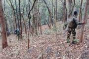 12 Naxalites surrender in Chhattisgarh's Narayanpur; 9 of them carry total Rs 18 lakh bounty