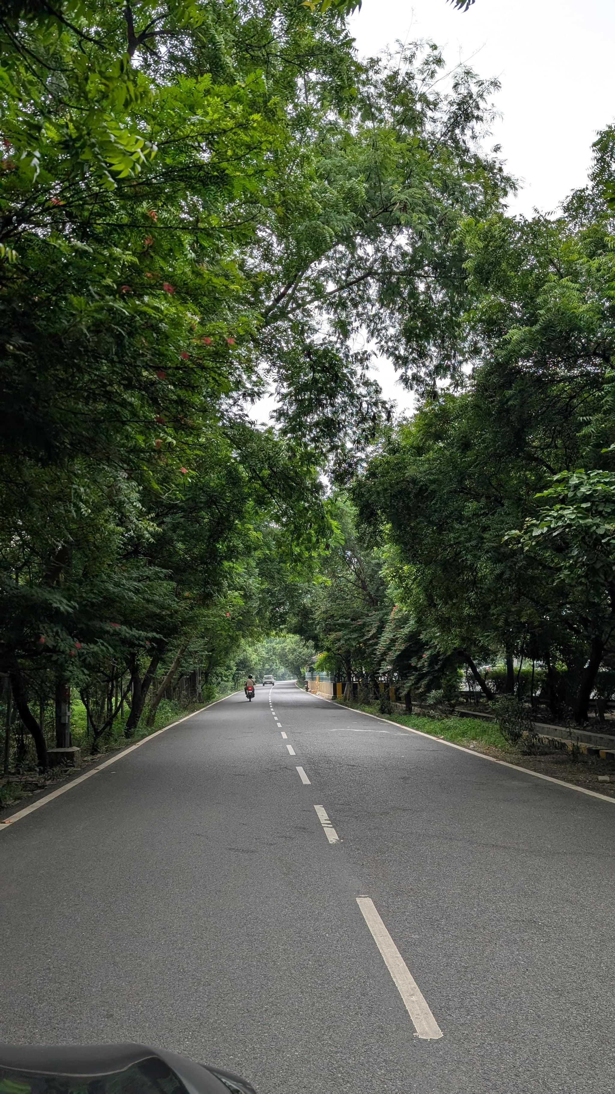 Pixel 9 camera sample