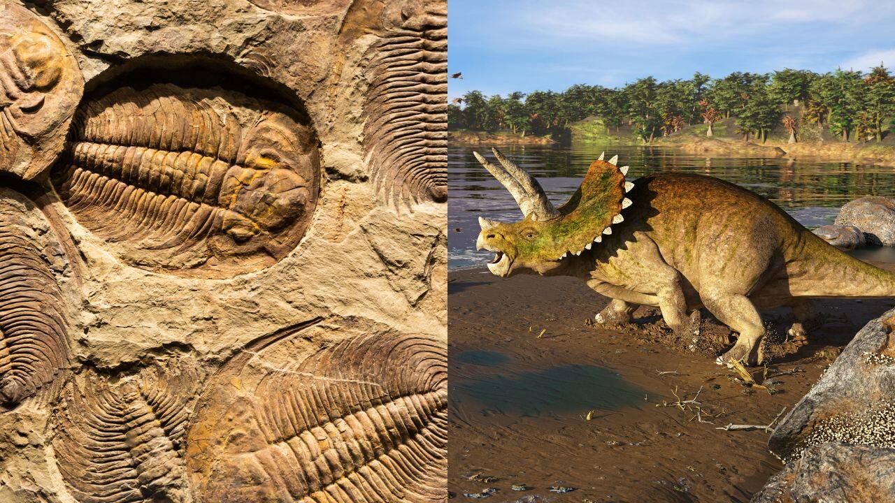 What triggered marine mass extinctions millions of years ago? New study sheds light on the mystery of ancient ocean life disappearance