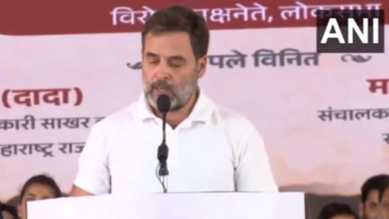 Rahul Gandhi reacts to PM Modi's apology over Shivaji statue collapse: 'I want to ask him...' Rahul Gandhi reacts to PM Modi's apology over Shivaji statue collapse: 'I want to ask him...'