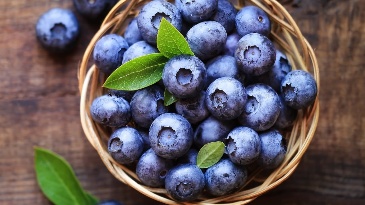 Blueberries Blueberries are packed with antioxidants, particularly anthocyanins, which give them their deep blue color. These antioxidants help combat oxidative stress and inflammation, both of which are linked to cognitive decline. Studies suggest that regular consumption of blueberries can improve memory and cognitive function by enhancing communication between brain cells and reducing the risk of neurodegenerative diseases. (Image: Canva)Blueberries Blueberries are packed with antioxidants, particularly anthocyanins, which give them their deep blue color. These antioxidants help combat oxidative stress and inflammation, both of which are linked to cognitive decline. Studies suggest that regular consumption of blueberries can improve memory and cognitive function by enhancing communication between brain cells and reducing the risk of neurodegenerative diseases. (Image: Canva)