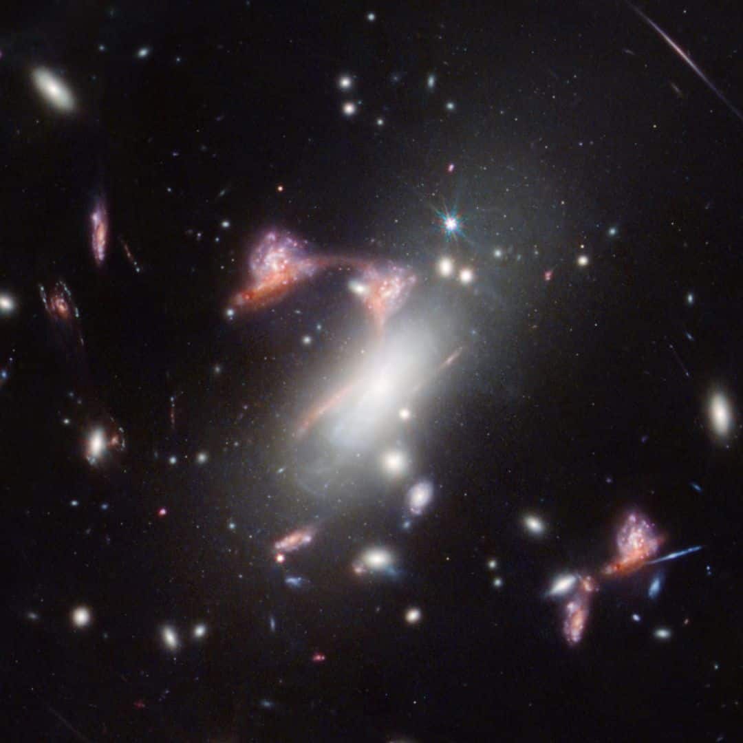 The galaxy cluster MACS-J0417.5-1154 is so massive it is warping the fabric of space-time and distorting the appearance of galaxies behind it, an effect known as gravitational lensing. (Image: NASA)