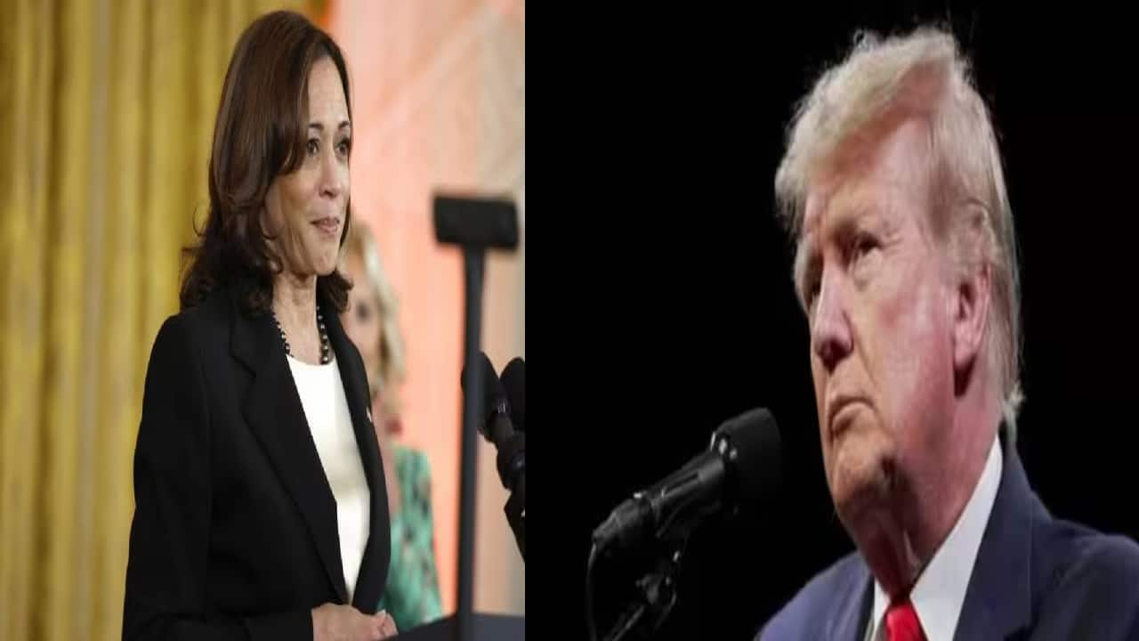 US Polls 2024: Kamala Harris outraises Trump by $231 million in August, leading with $404 million