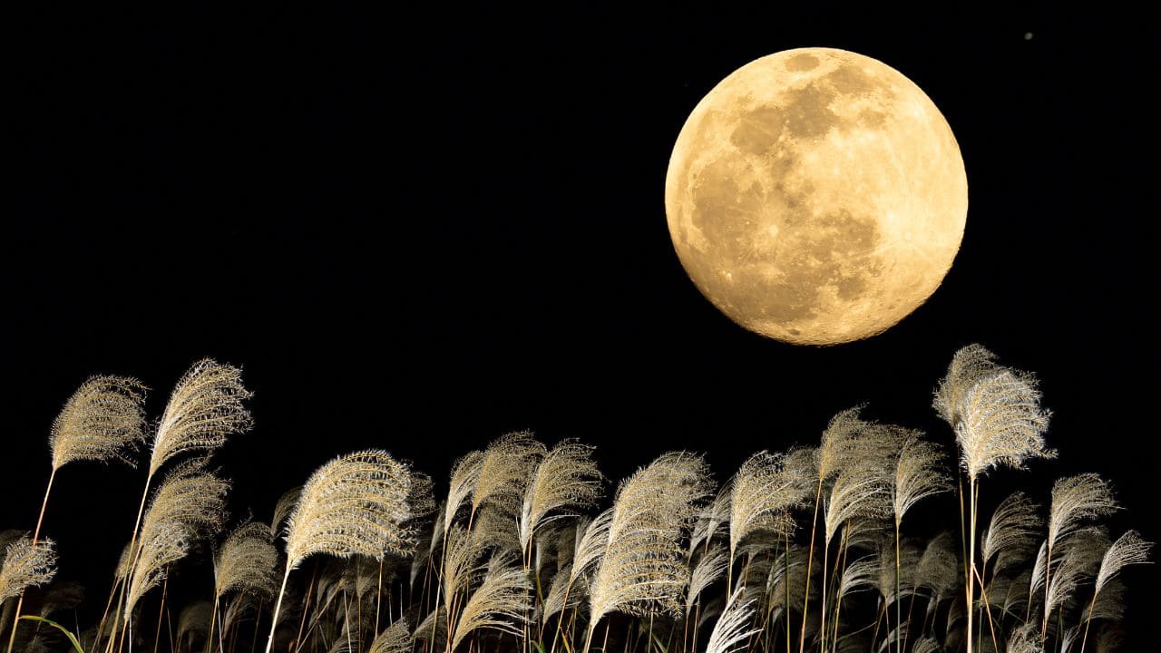 'Harvest Moon' to shine with partial eclipse on 17 September: How to watch the spectacular event