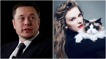 Elon Musk has fathered 12 children while Taylor Swift is a proud mother to three cats. (Image credit: AFP, Instagram)