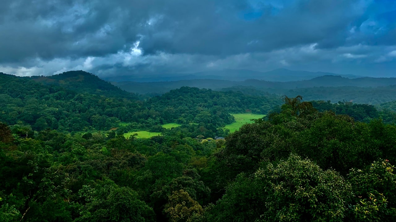 5. Coorg, Karnataka: Camping in Coffee Country For a jungle-meets-mountain camping experience, head to the lush green hills of Coorg. Nestled amidst sprawling coffee plantations and dense forests, Coorg offers an enchanting escape into nature. Campers can explore trekking trails, embark on river rafting adventures, and even spot wildlife in the region's dense jungles. The soothing aroma of coffee and serene ambiance make this camping destination a peaceful yet thrilling retreat. (Image: Canva)