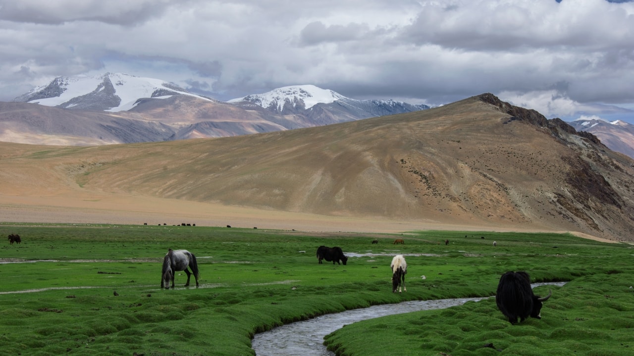 8. The Changtang, Tibet | The Changtang Plateau in Tibet features stunning high-altitude landscapes with minimal human presence. This remote region offers breathtaking views, unique wildlife, and an unparalleled sense of isolation, ideal for adventurous travelers seeking solitude in nature.(Image: Canva)