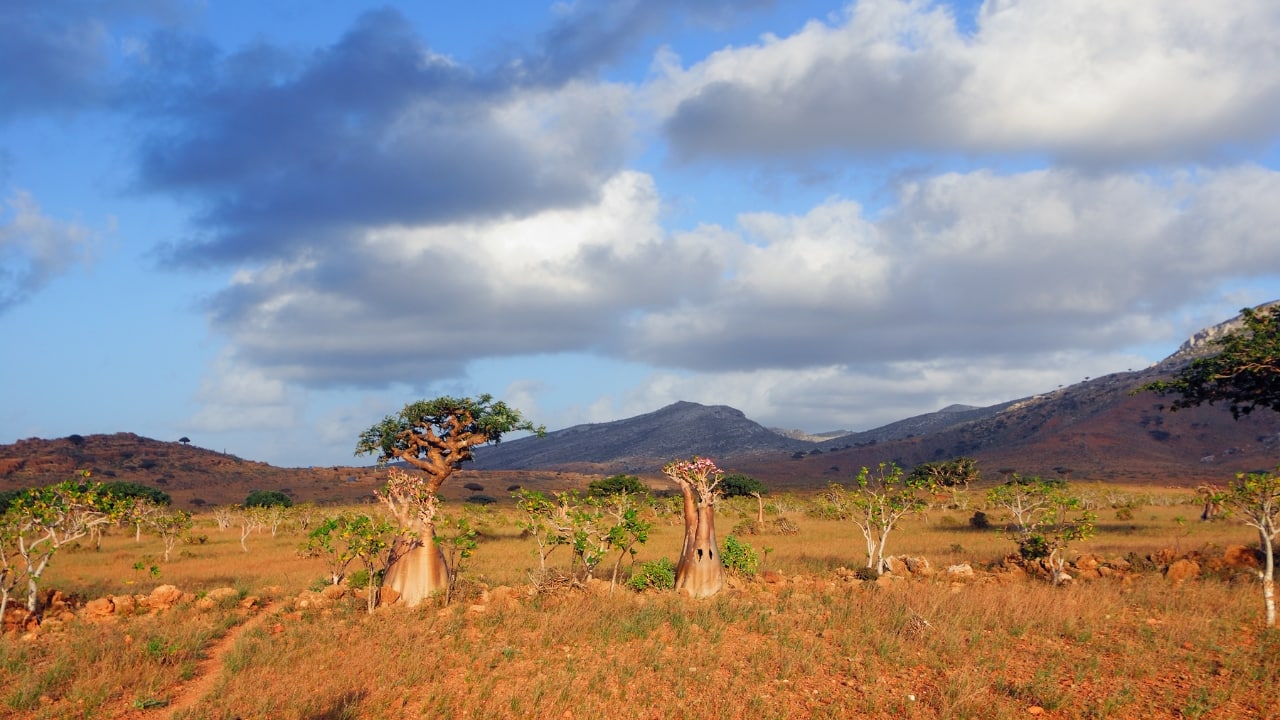For those with an adventurous spirit and a thirst for solitude, these ten remote destinations offer unparalleled escapes from the ordinary. Each location is known for its extraordinary beauty and isolation, promising a unique experience for the intrepid traveler. Here’s a closer look at these secluded havens: (Image: Canva)