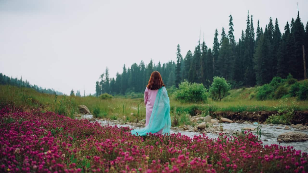 4. Yusmarg | Known as the ‘Meadow of Dreams,’ Yusmarg enchants with its expansive meadows and dense forests. The quiet and scenic beauty provide an idyllic setting for romantic walks and intimate moments in a serene environment. (Image: Canva)