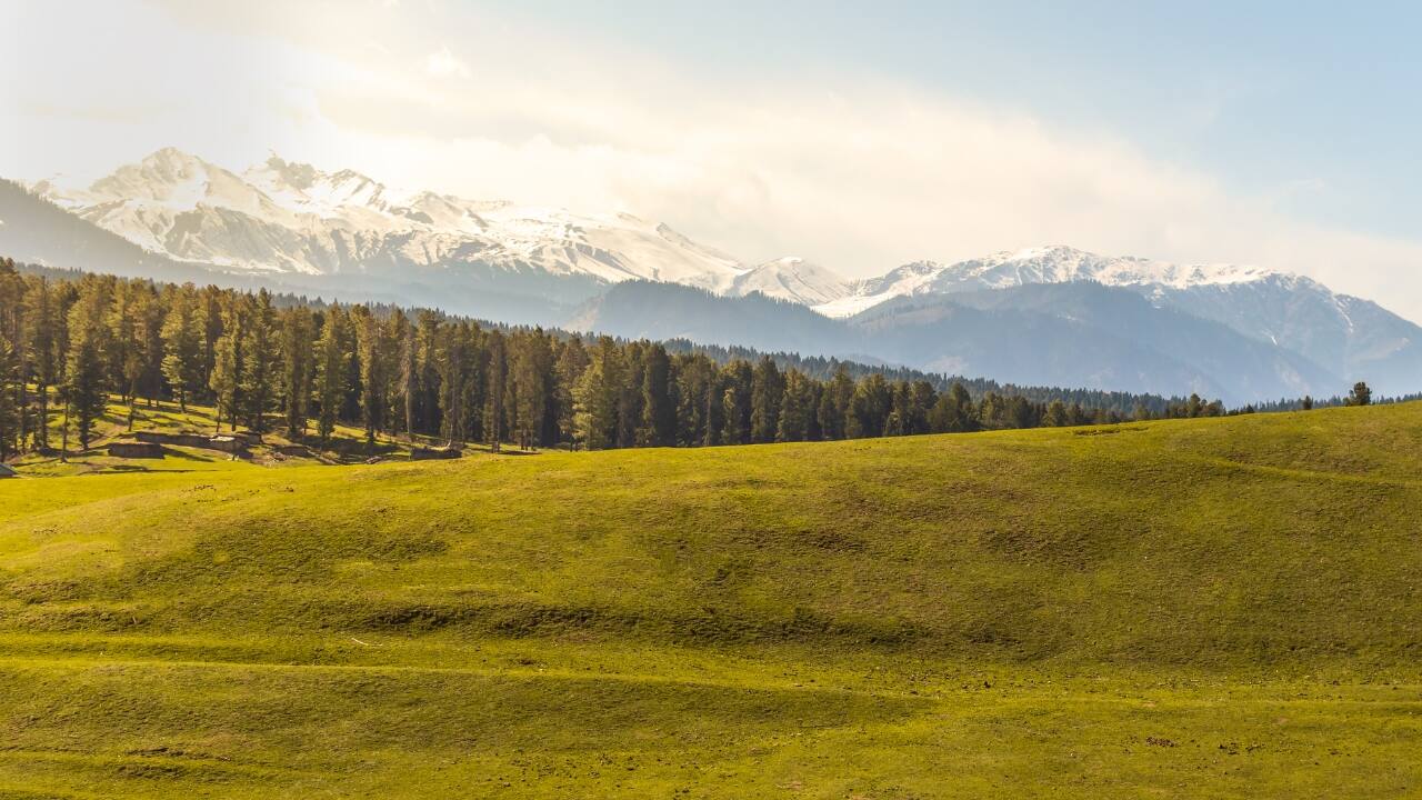 Yusmarg – Kashmir | A tranquil meadow surrounded by dense forests and snow-capped peaks, Yusmarg is an off-the-beaten-path destination in Kashmir that offers stunning landscapes and a peaceful retreat. (Image: Canva)