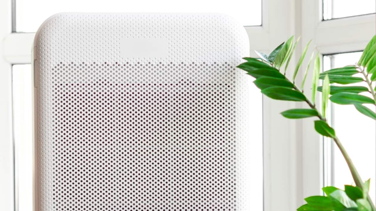 air purifier