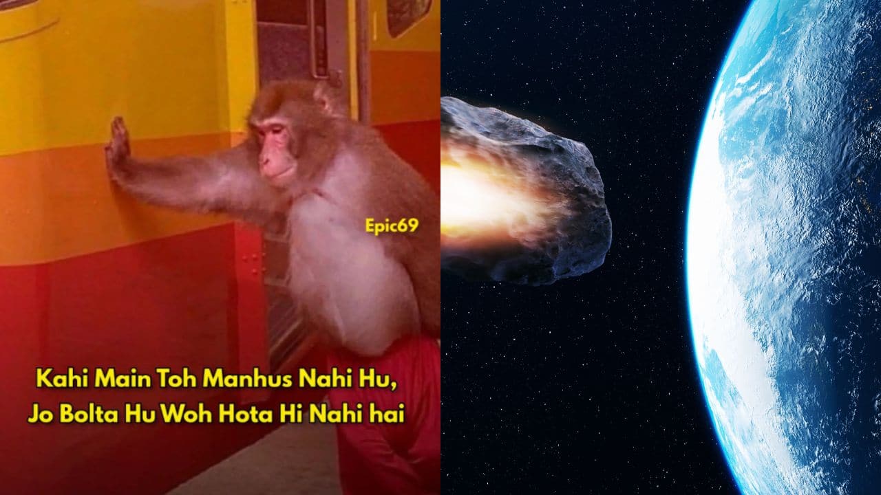Asteroid 2024 RN16 fails to hit Earth; social media lights up with witty reactions