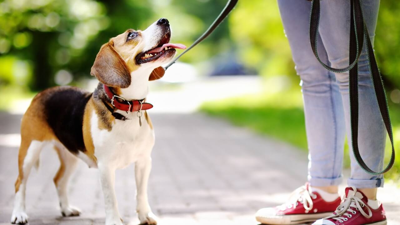 Exercise tips: Tired of stressing over workouts? Try these unique ways to stay active and fit