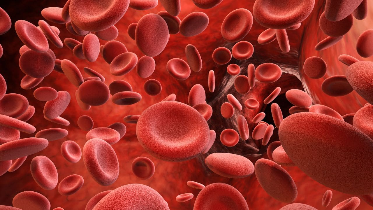 Scientists discover new blood group after 50 years; how it can reduce transfusion risk