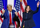 Trump Vs Harris: Which US political party in power will benefit Indian students?