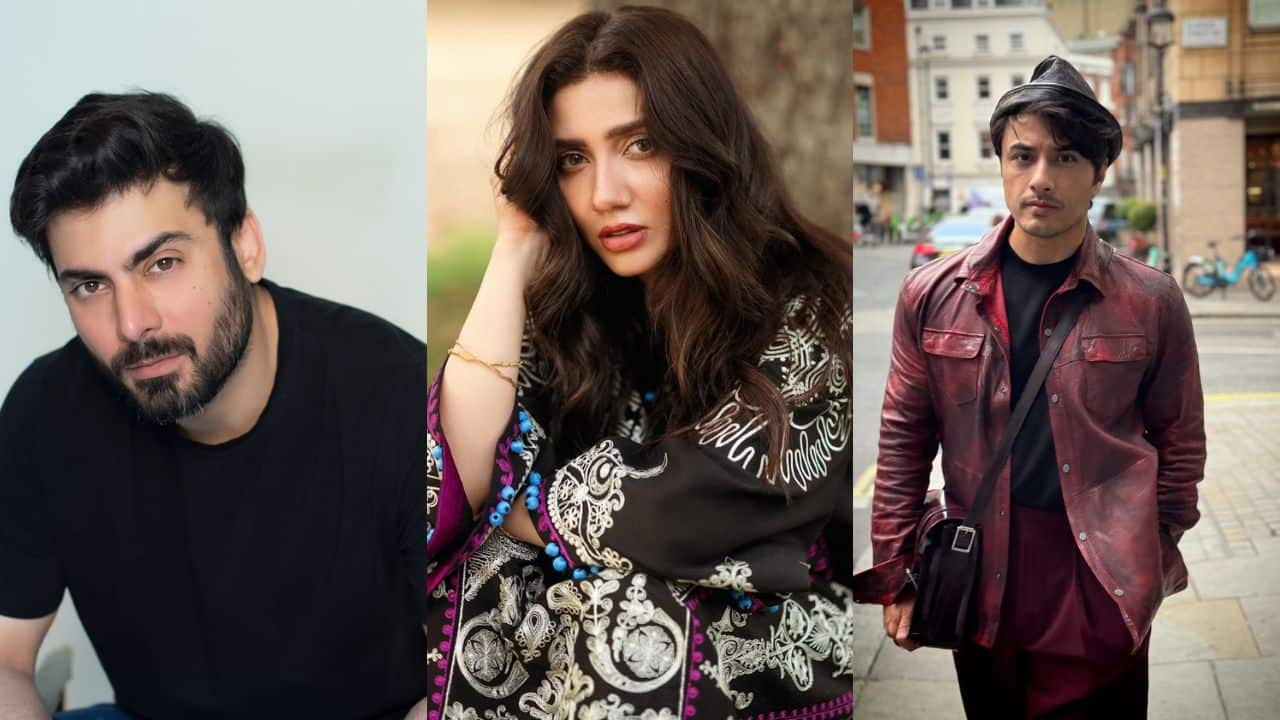 International Day of Peace: 5 Pakistani actors who captured hearts in India