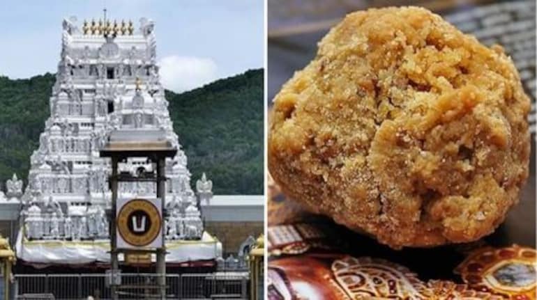 Beef fat, fish oil used in making laddus at Tirupati Temple: Lab report