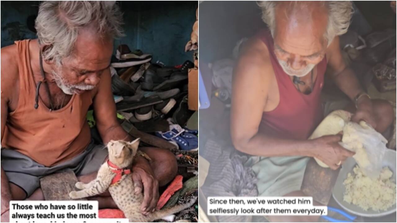 Internet raises funds for Bengaluru cobbler who turned his shop into shelter for strays. Heartwarming post