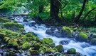 World Rivers Day 2024: Date, time and significance