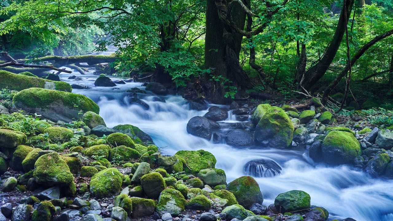 World Rivers Day 2024: Date, time and significance