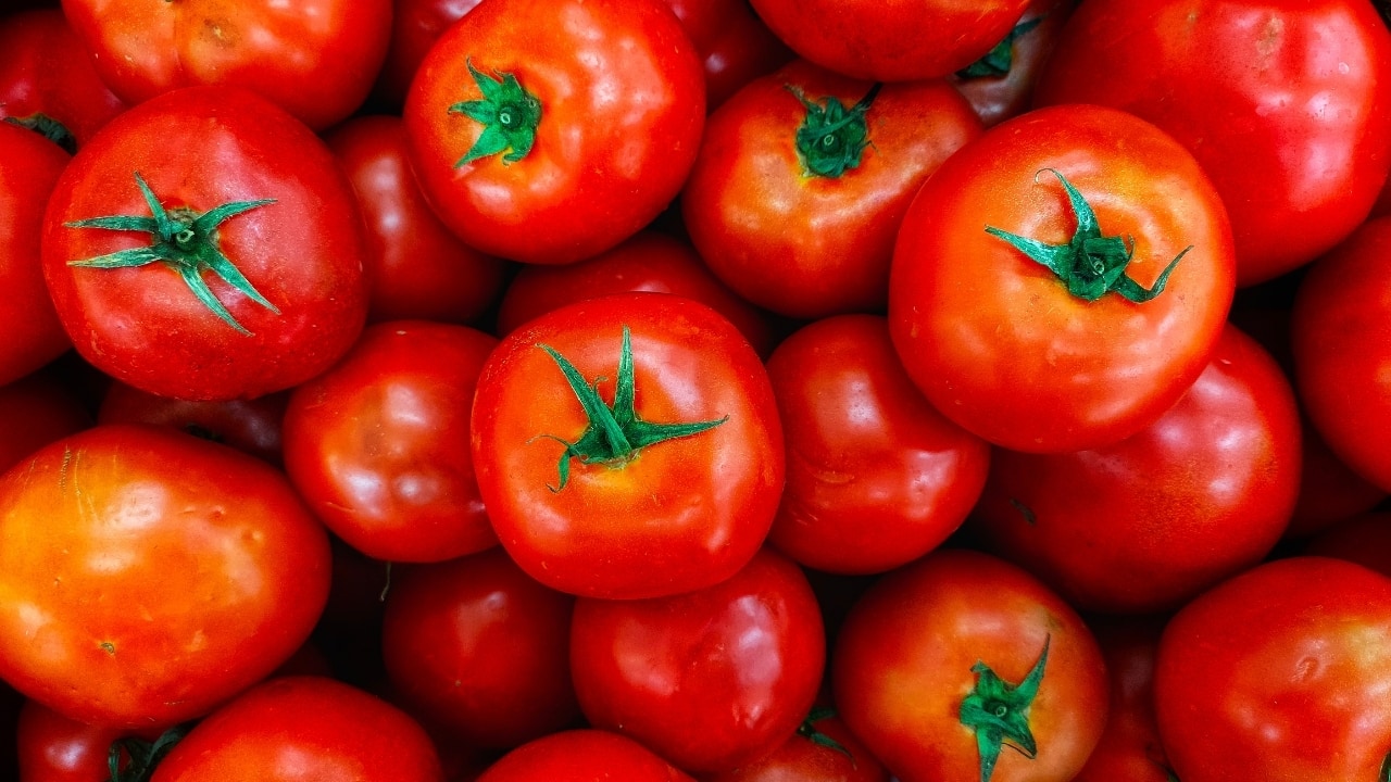 Tomatoes  Tomatoes are a rich source of lycopene, an antioxidant that protects the skin from UV damage and reduces the risk of premature ageing. Lycopene also enhances collagen production, maintaining skin firmness. Beyond skincare, tomatoes support heart health by lowering cholesterol levels and blood pressure, reducing the risk of heart disease, and supporting bone health. (Image: Canva)