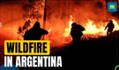 Devastating wildfires grip northern region of Cordoba in Argentina