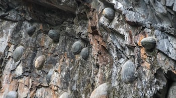In the small village of Gulu Zhai, which is home to the Shui people, stories of this mysterious mountain have been passed down for centuries. (Image: Social Media)