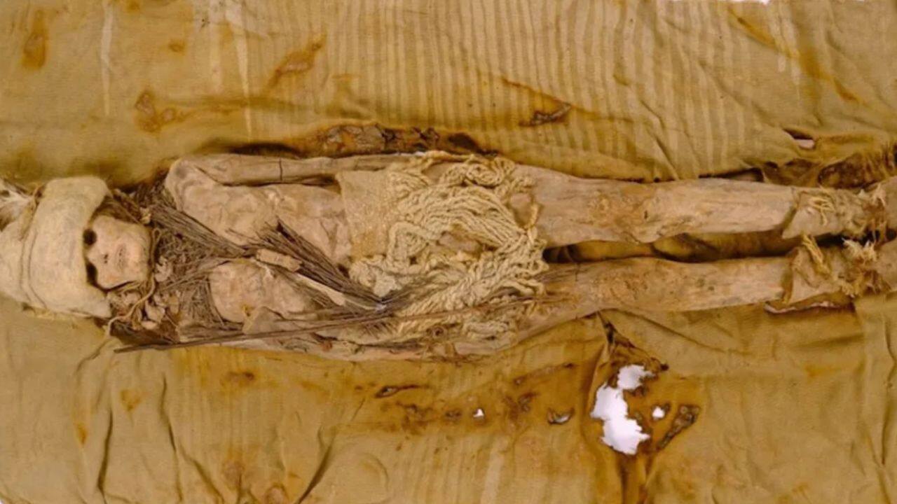 World's oldest cheese found on 3,600-year-old mummies in China: Know its significance