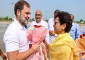 Rahul Gandhi to cover several districts in 2nd leg of poll campaigning, take out 'Haryana Vijay Sankalp Yatra'