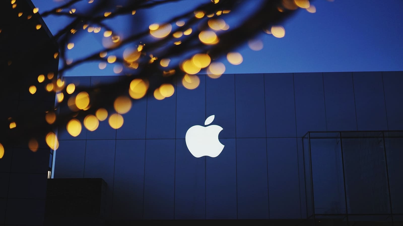 20240927053654_apple- 
