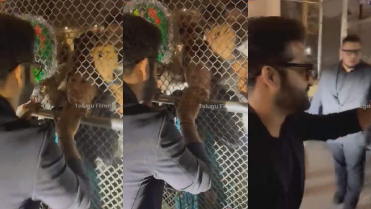 Devara fever: A fan from Tokyo flies to LA to watch Jr NTR's latest blockbuster and meet him