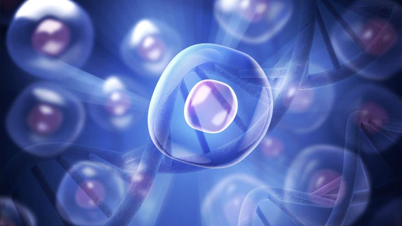 Scientists confirm 100-year-old theory: New type of cells found that can cure chronic wounds