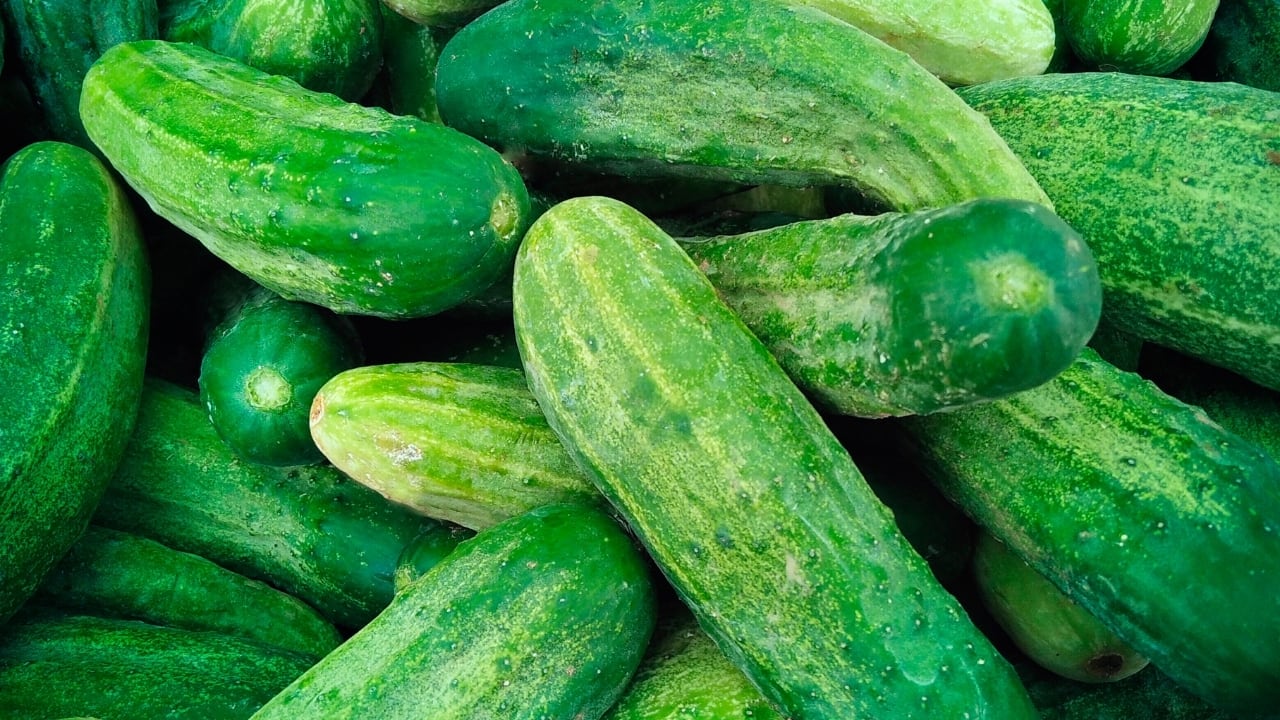 Cucumber water health benefits sale