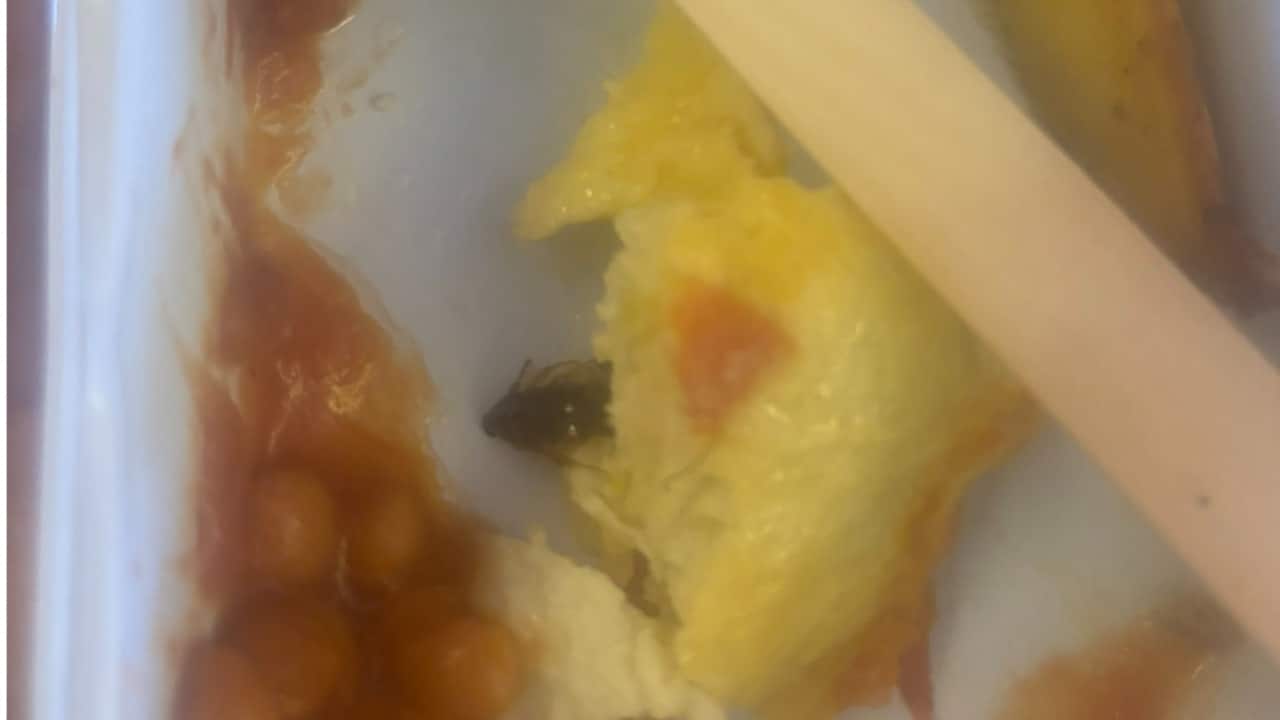 Journalist finds cockroach in Air India Delhi-New York flight meal: 'Suffered from food poisoning'