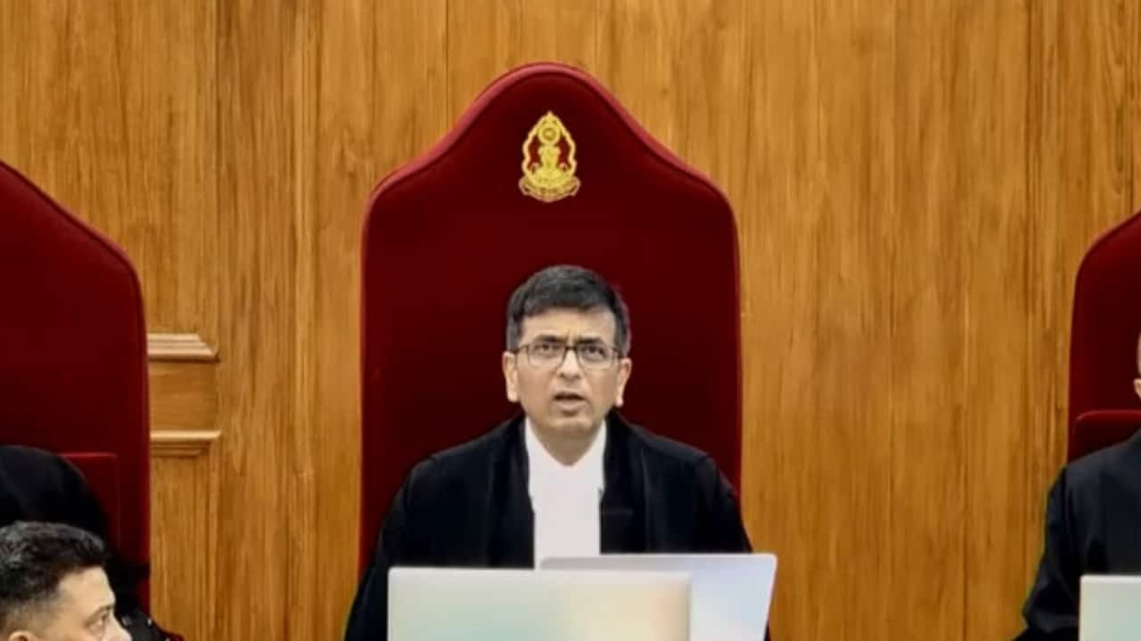 CJI Chandrachud Scolds Lawyer for 'Yeah Yeah' in Court