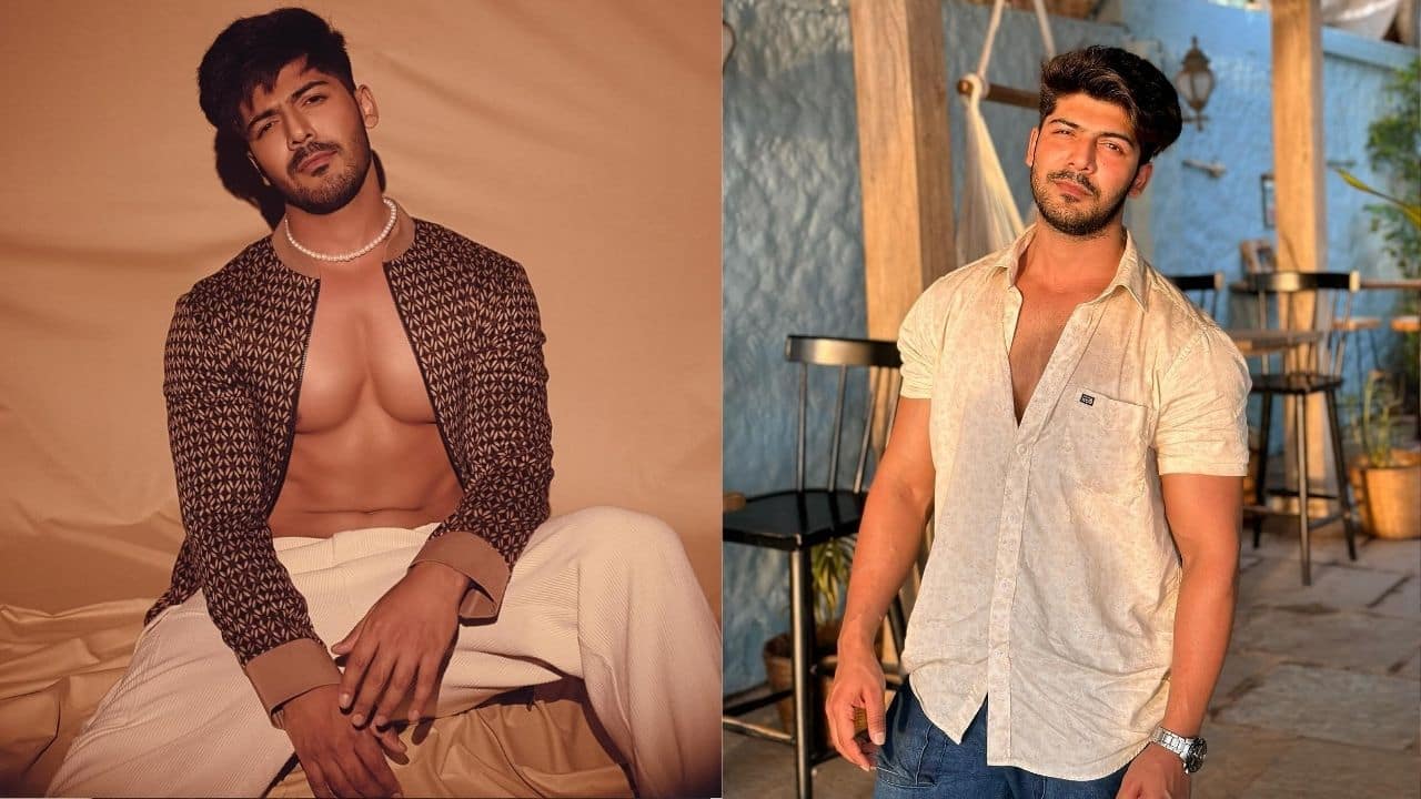 Bigg Boss 18: All you need to know about contestant Sheezan Khan